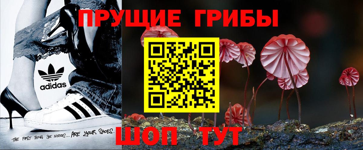 Галлюциногенные грибы ЛСД  Псилоцибиновые грибы MAGIC MUSHROOMS  Вход с VPN  где найти   Троицк 