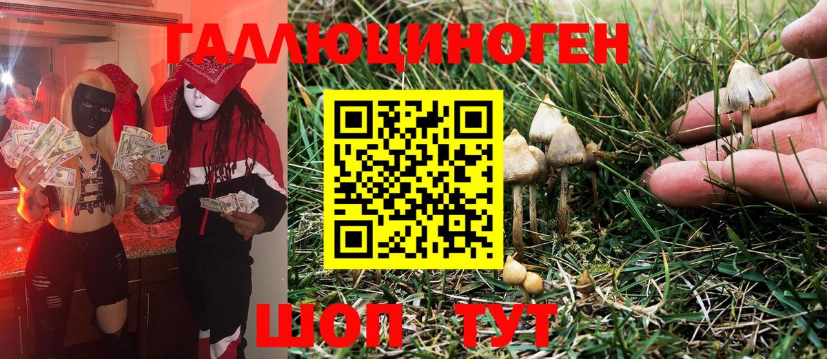 Псилоцибиновые грибы Psilocybe Троицк